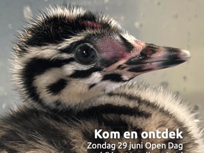 Magazine voorjaar 2025 Magazine voorjaar 2025